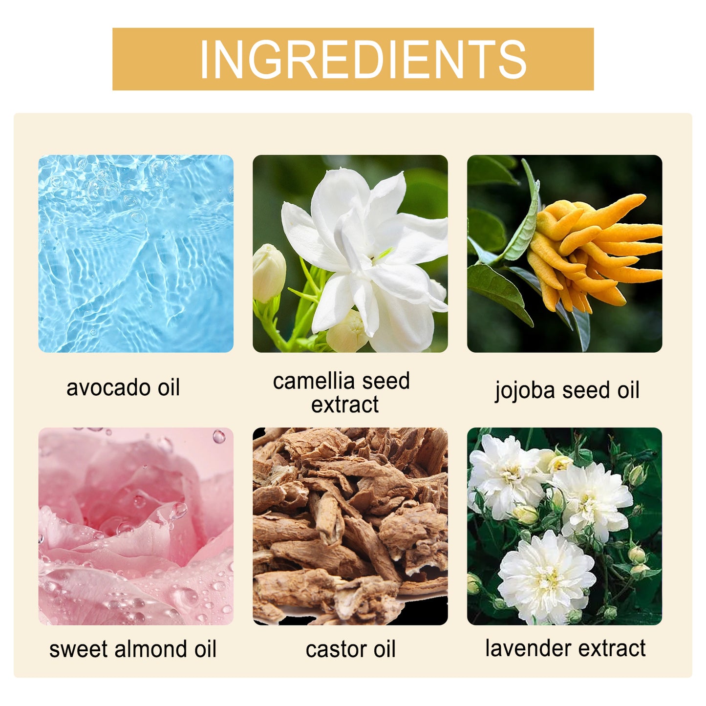 Women's Perfume, Perfume Fragrance Body Care